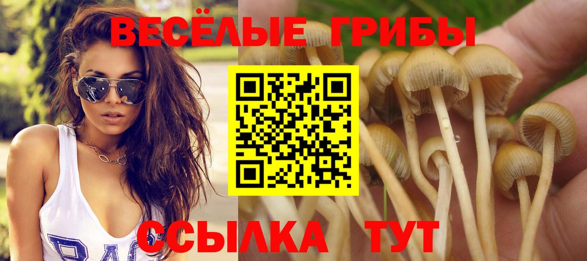 Елабуга  Псилоцибиновые грибы Psilocybine cubensis  Вход с VPN 